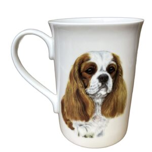 Bi-Colour King Charles Spaniel