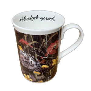 Hedgehog Fine Bone China Personalised Mug
