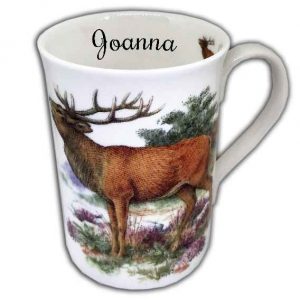 Red Deer / Stag