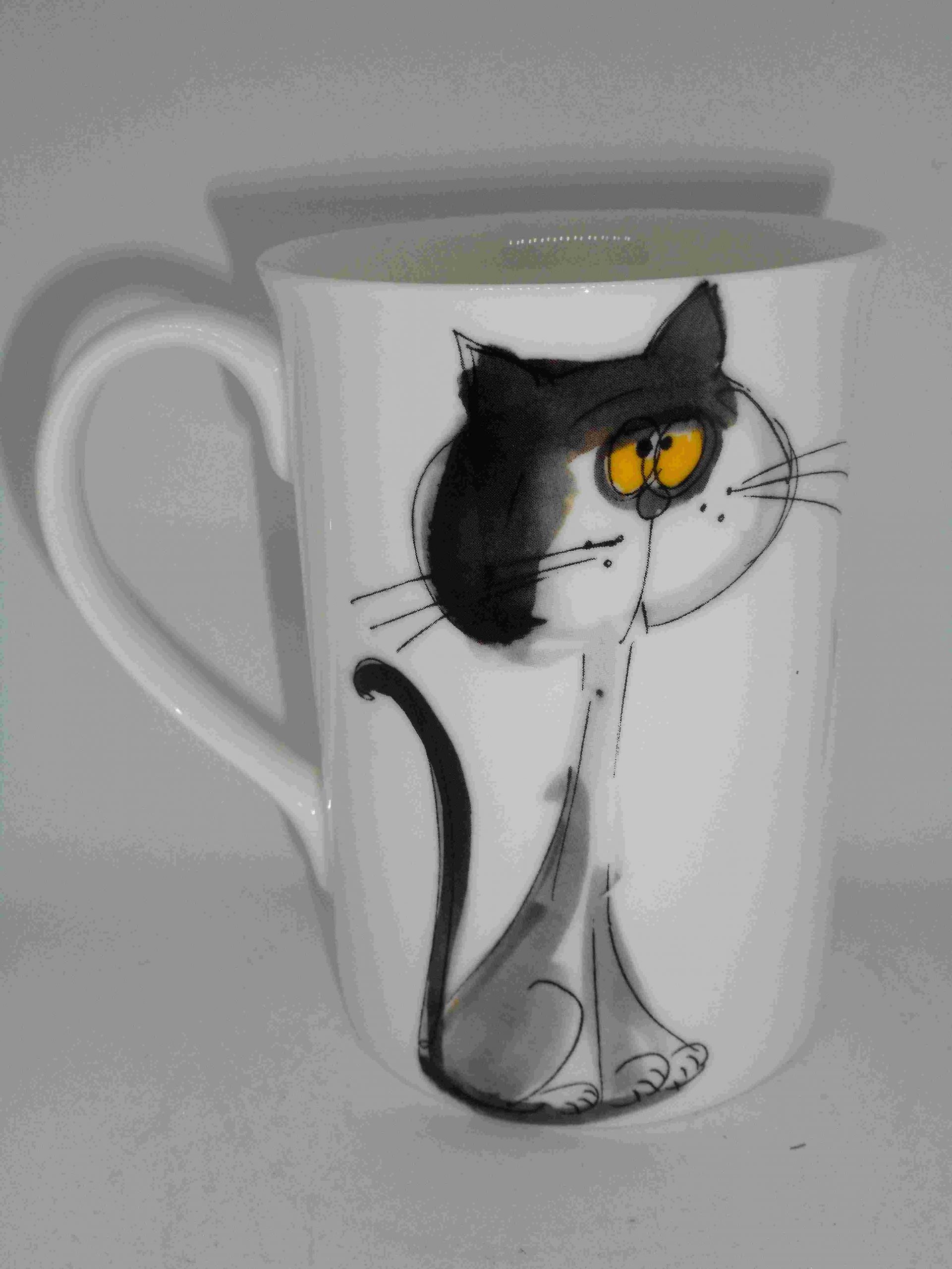 Scatty Cat