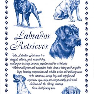 Labrador Retriever Tea Towel