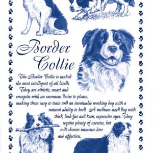 Border Collie Tea Towel