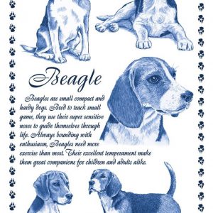 Beagle Tea Towel