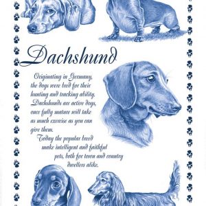 Dashshund Tea Towel