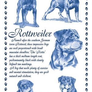 Rottweiler tea towel